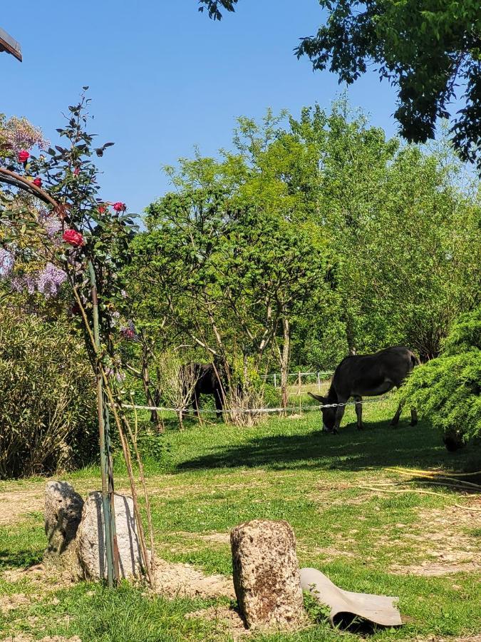 Pey Sud Sistels Exterior foto