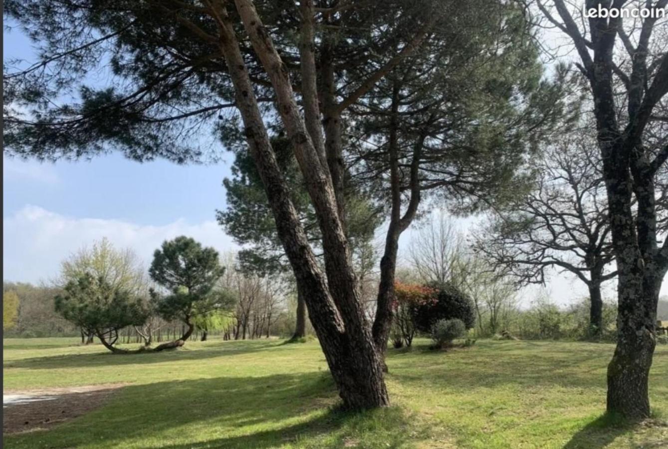 Pey Sud Sistels Exterior foto